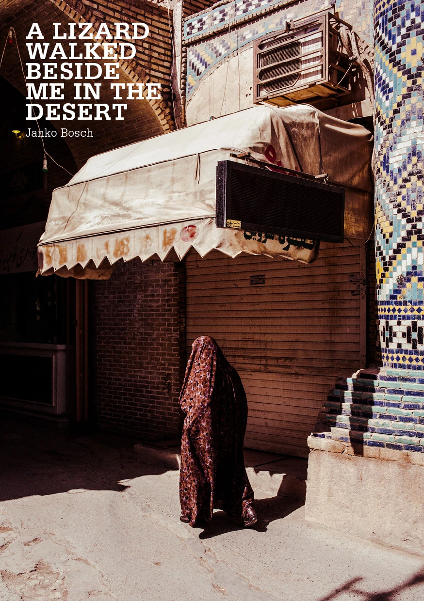 Cover of the photo zine 'A lizard walked beside me in the desert' with picture taken in Iran